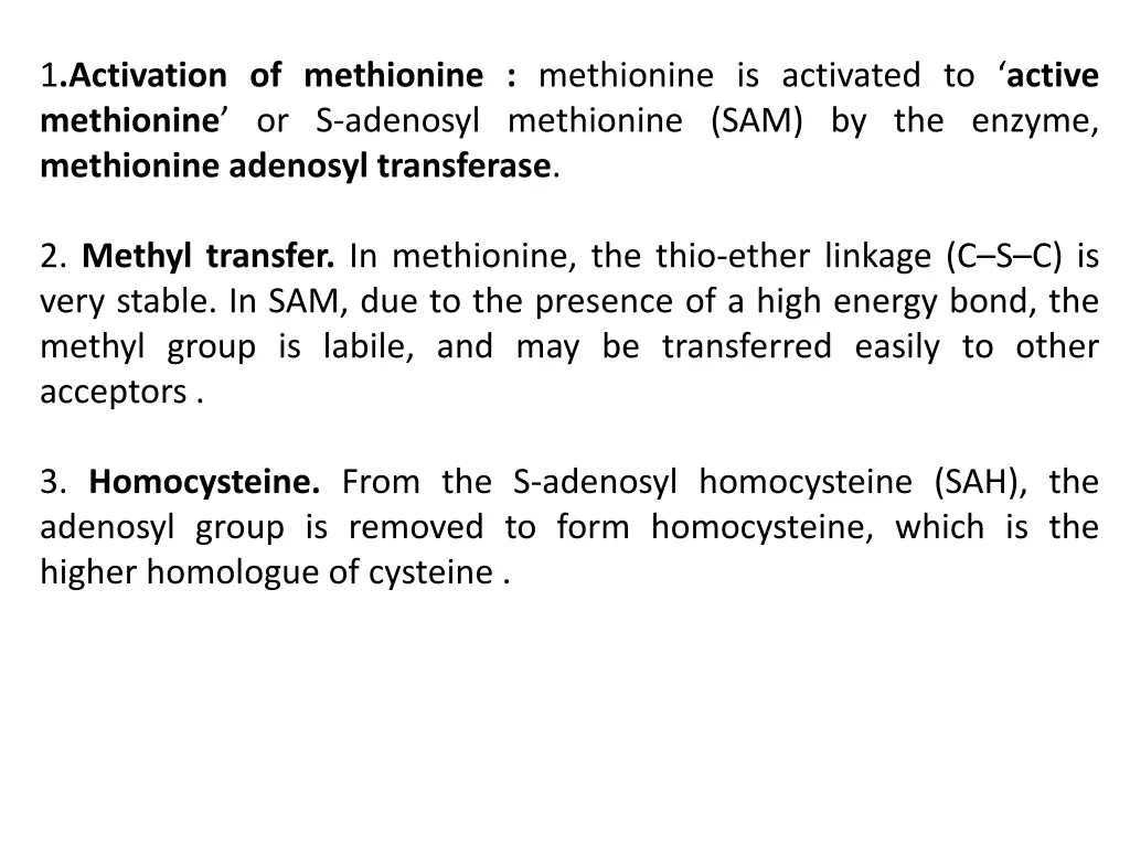 1 activation of methionine methionine