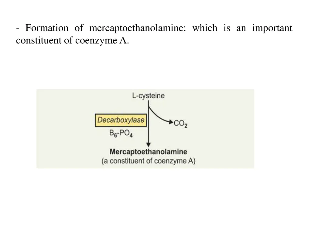 formation of mercaptoethanolamine which