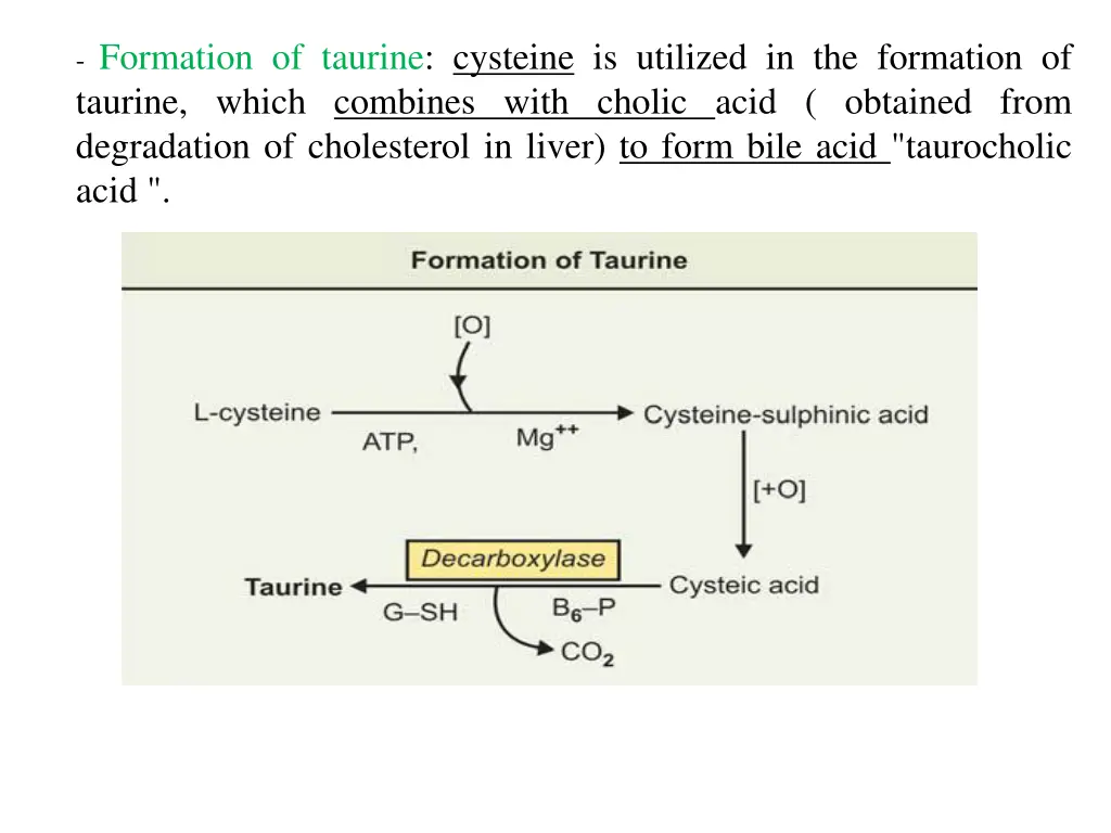 formation of taurine cysteine is utilized