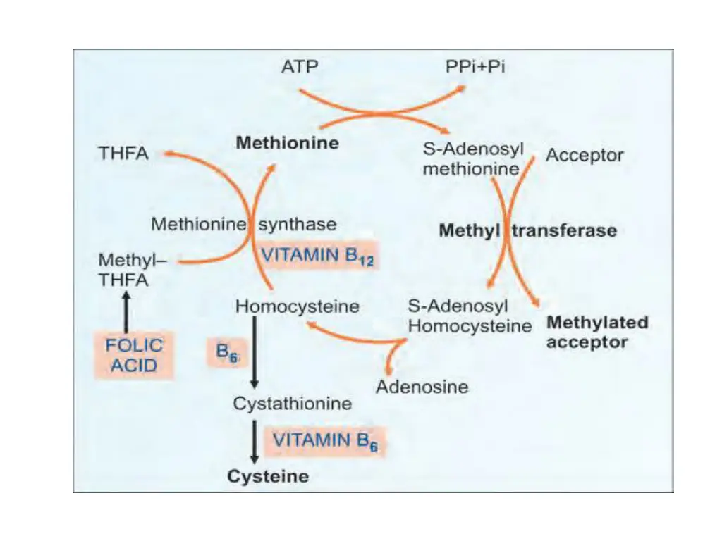 slide10