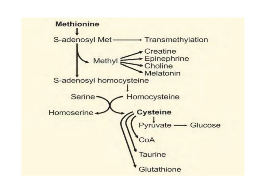 slide18