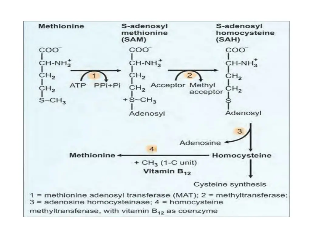 slide6