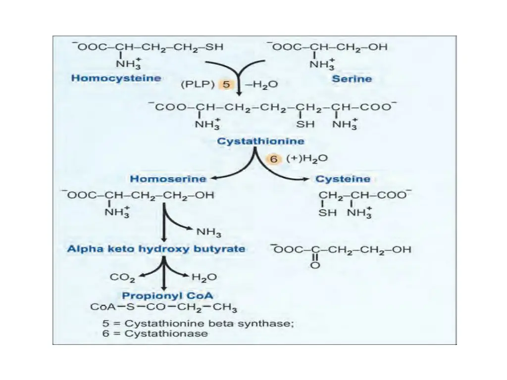 slide7