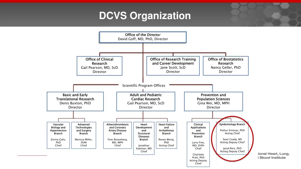 dcvs organization