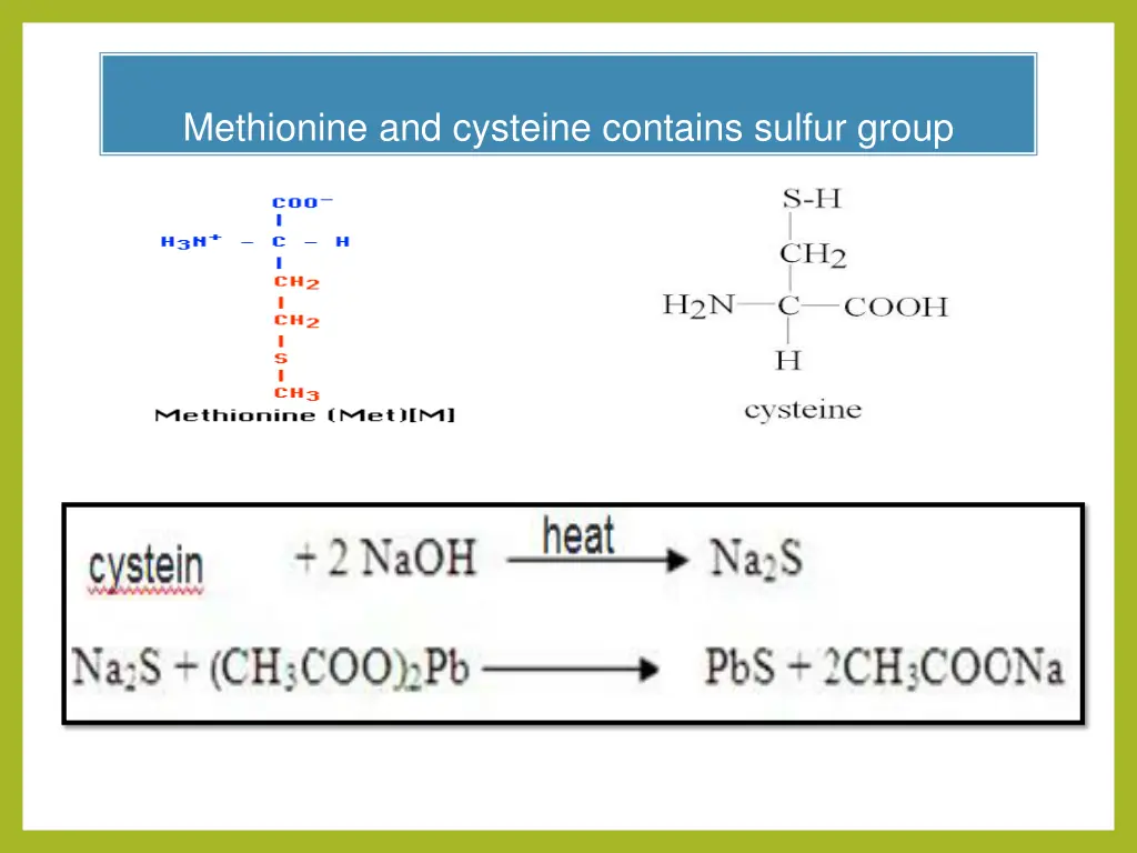 methionine and cysteine contains sulfur group