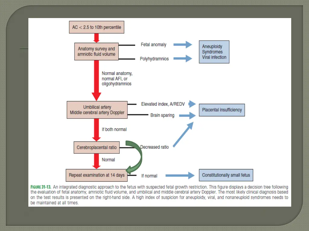 slide26