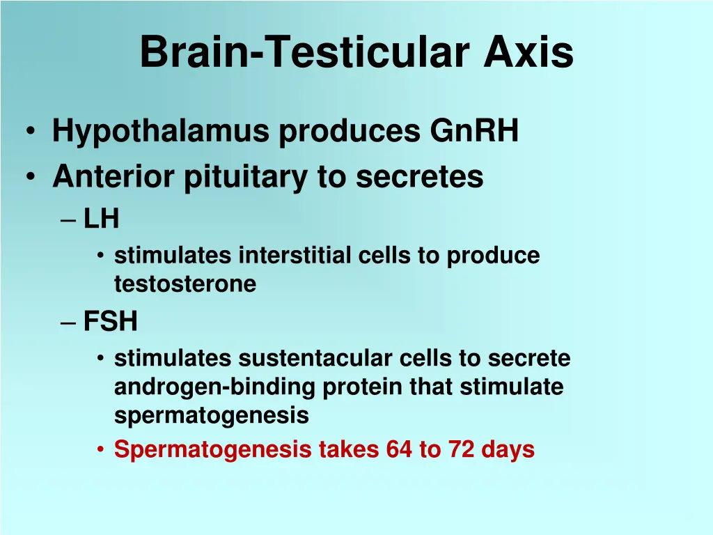 brain testicular axis