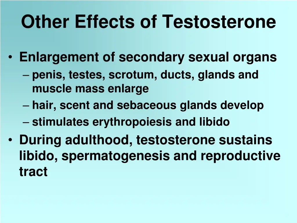 other effects of testosterone