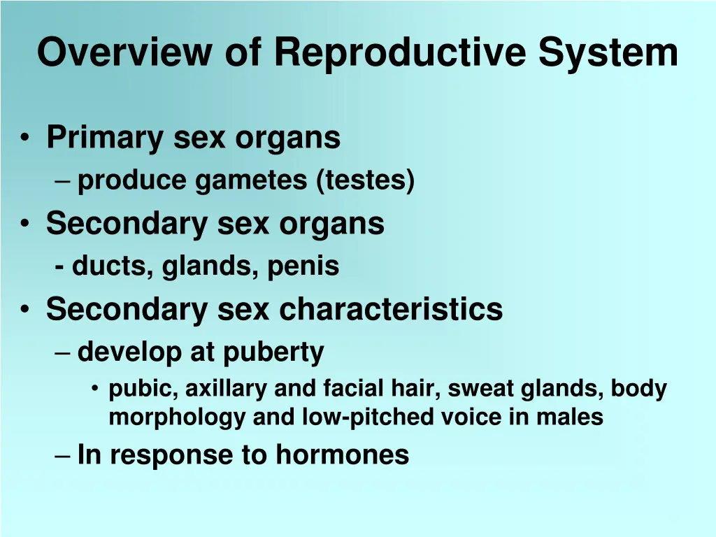 overview of reproductive system