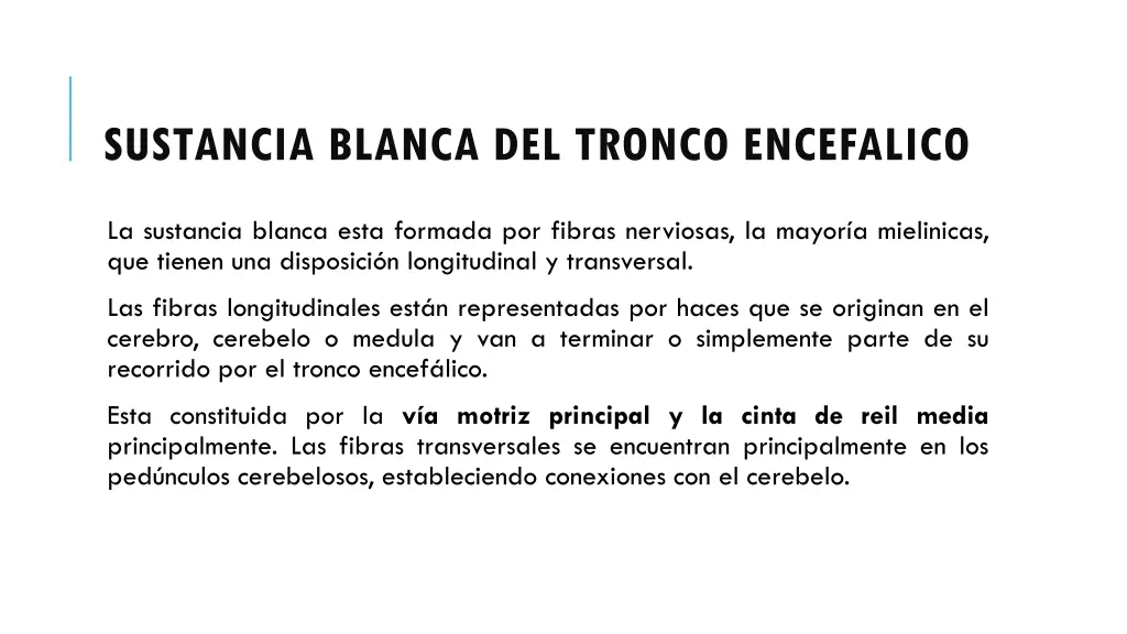sustancia blanca del tronco encefalico