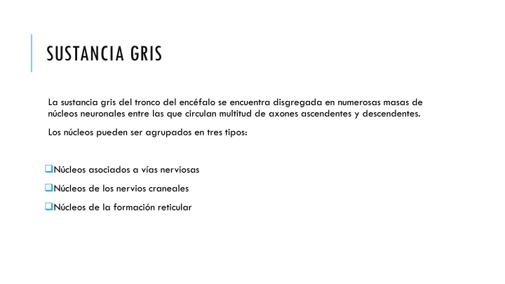 sustancia gris