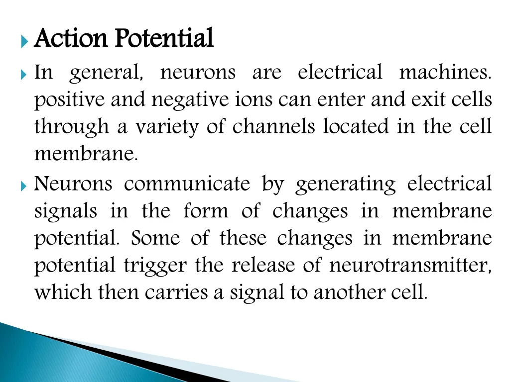 action in general neurons are electrical machines