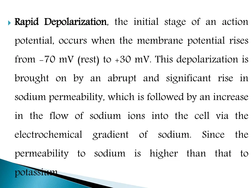 rapid potential occurs when the membrane