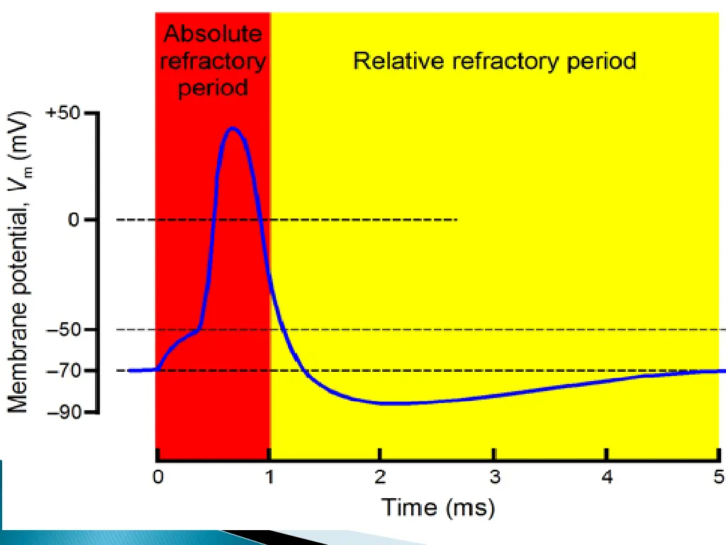 slide13