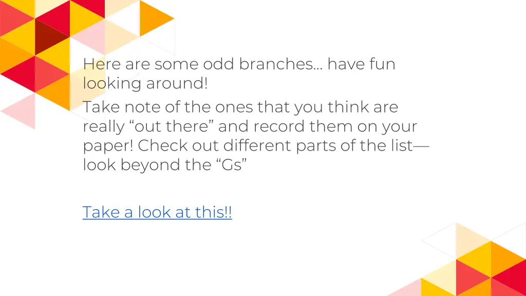 here are some odd branches have fun looking