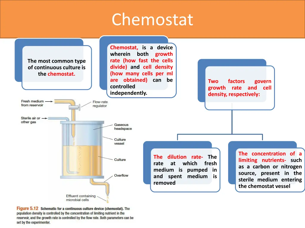 chemostat 1