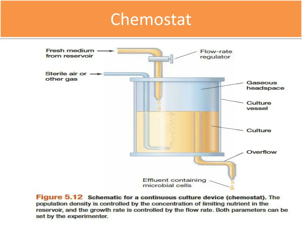 chemostat