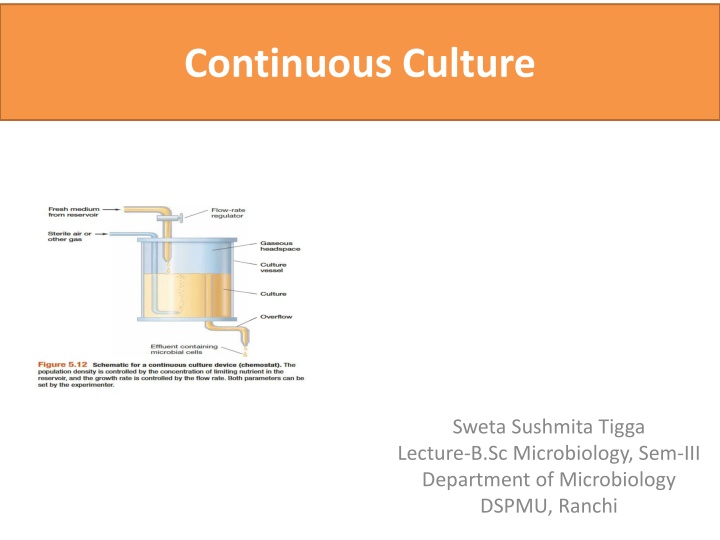 continuous culture