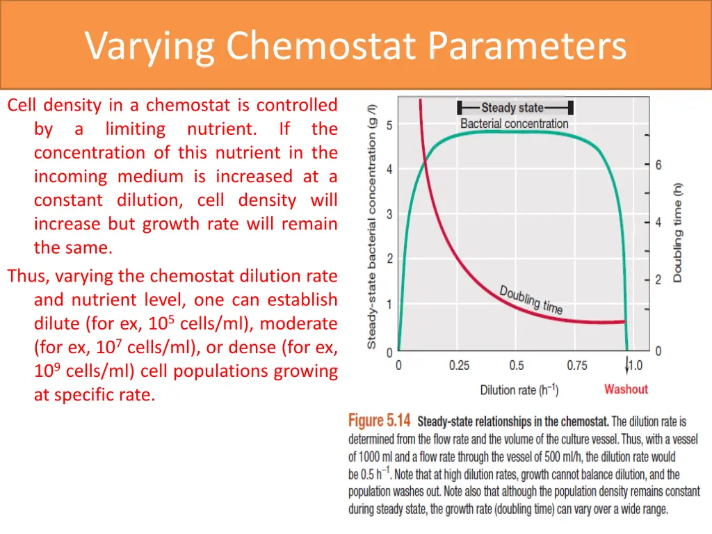 varying chemostat parameters 2