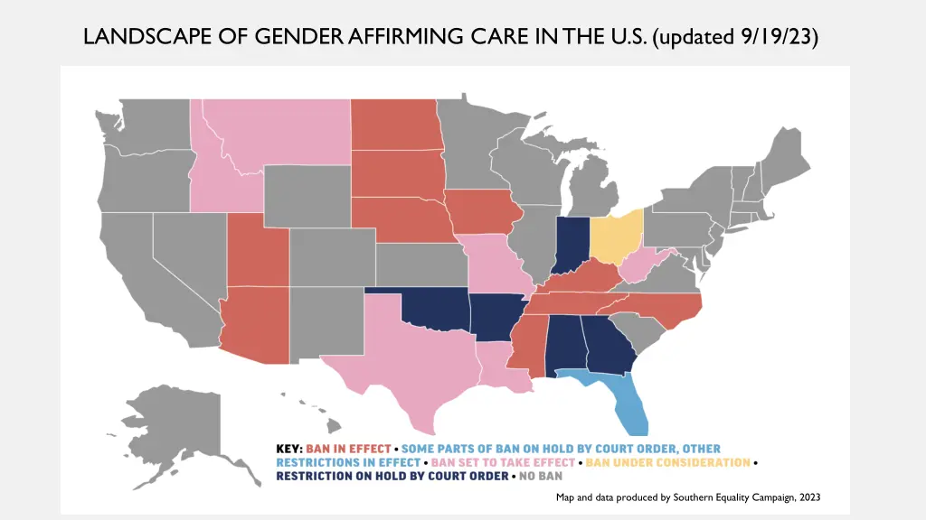 landscape of gender affirming care