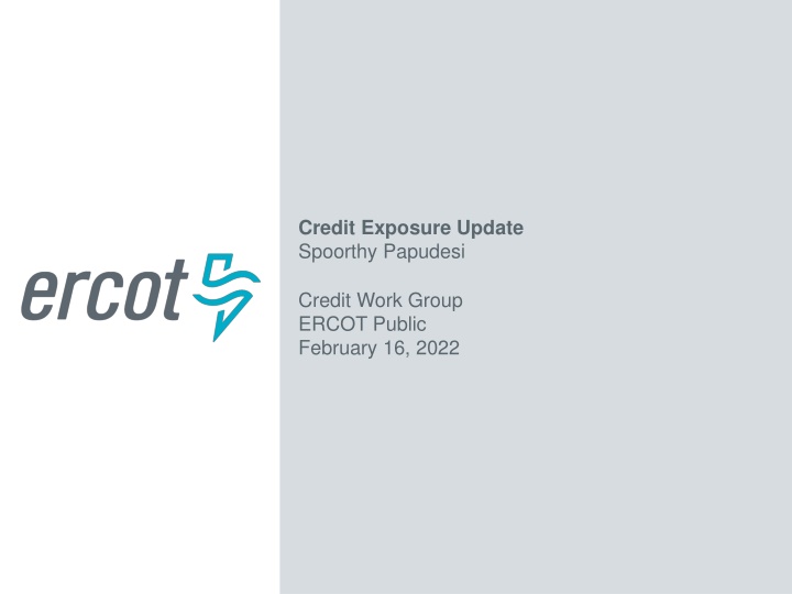 credit exposure update spoorthy papudesi