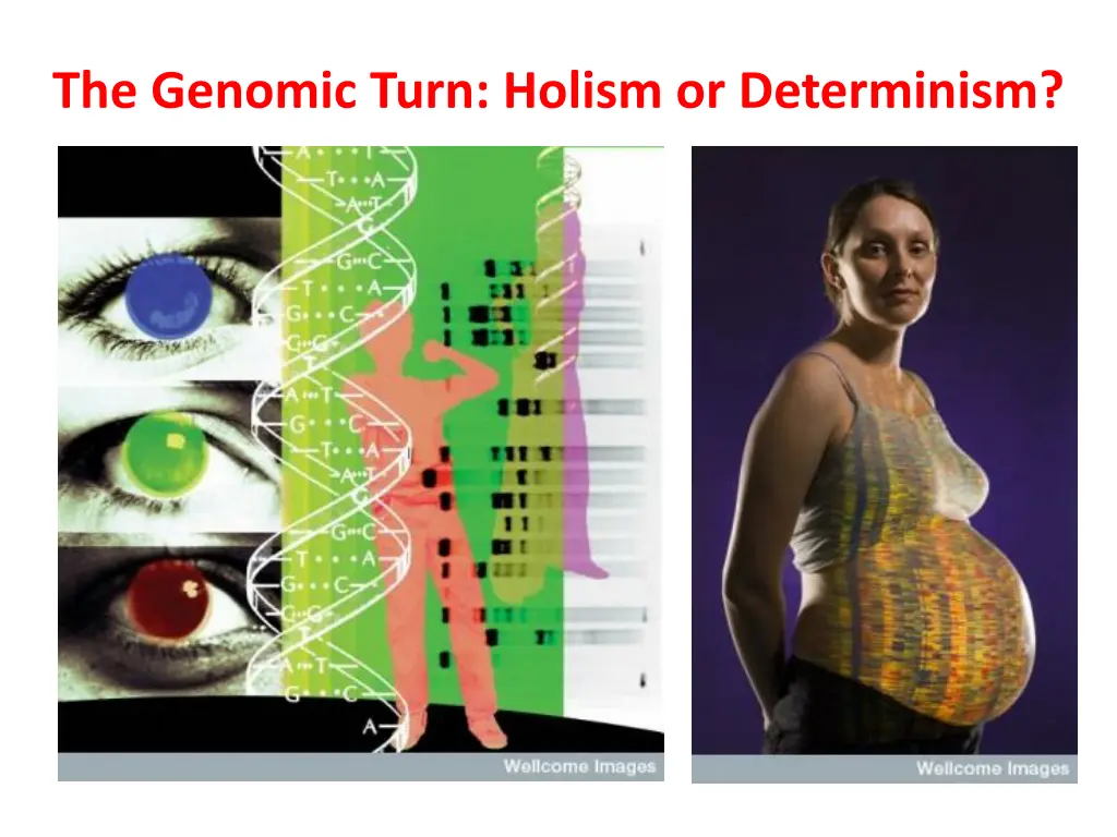 the genomic turn holism or determinism