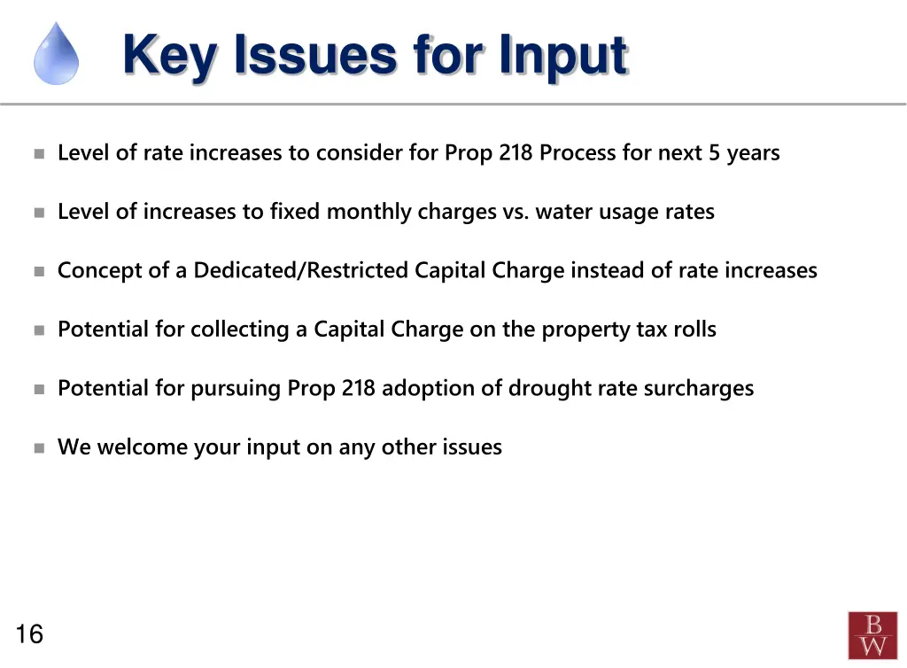 key issues for input