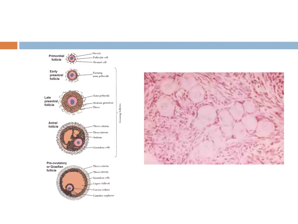slide9