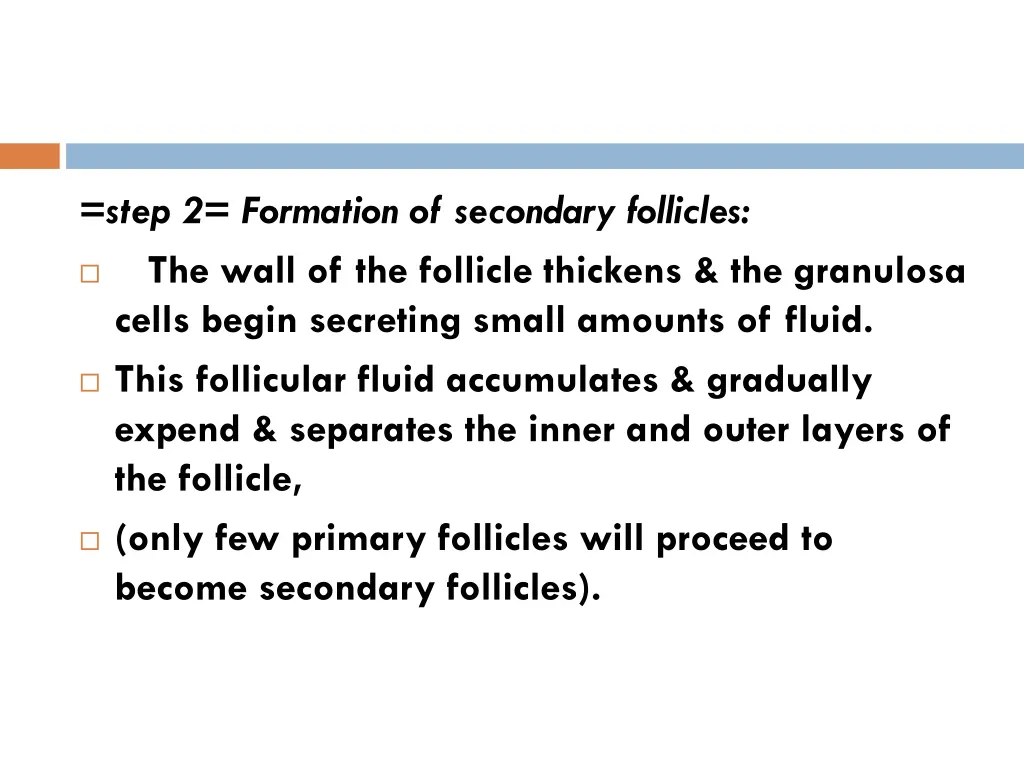 step 2 formation of secondary follicles the wall