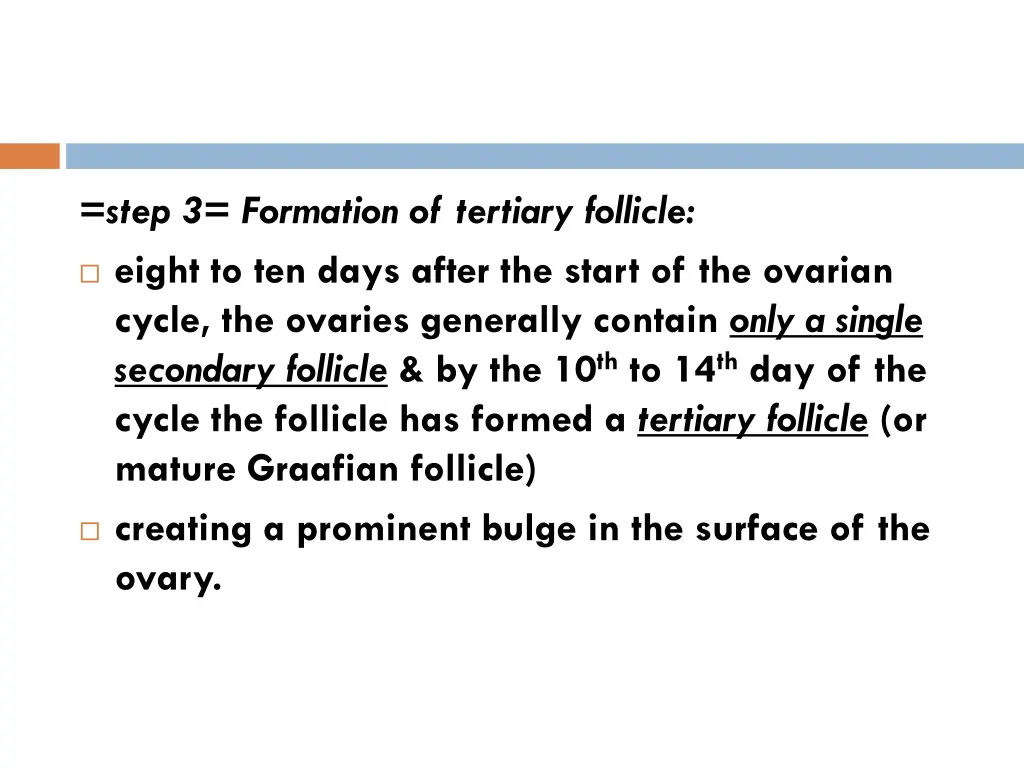 step 3 formation of tertiary follicle