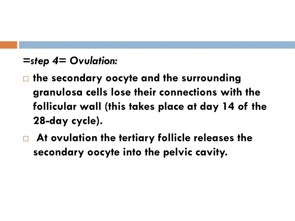 step 4 ovulation