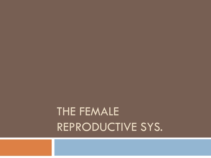 the female reproductive sys