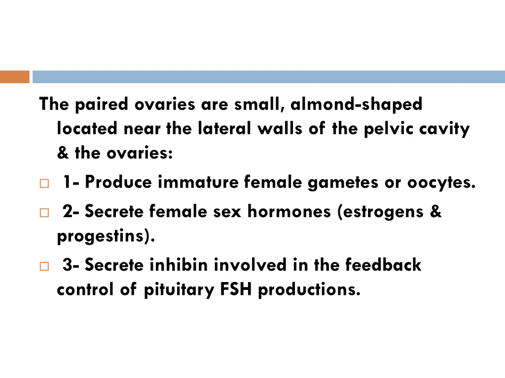 the paired ovaries are small almond shaped