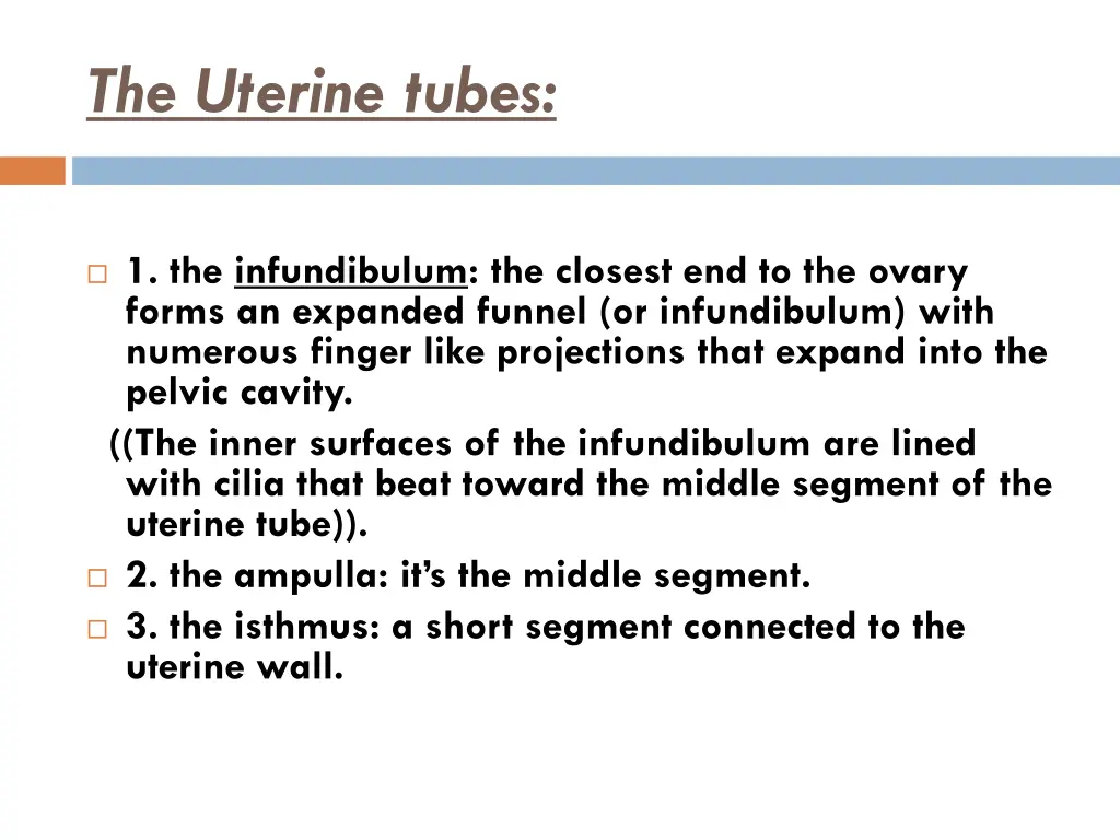 the uterine tubes