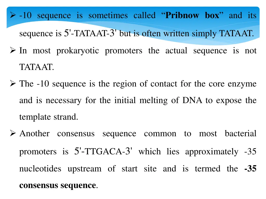 10 sequence is sometimes called pribnow
