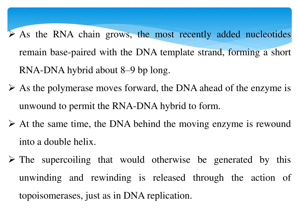 as the rna chain grows the most recently added