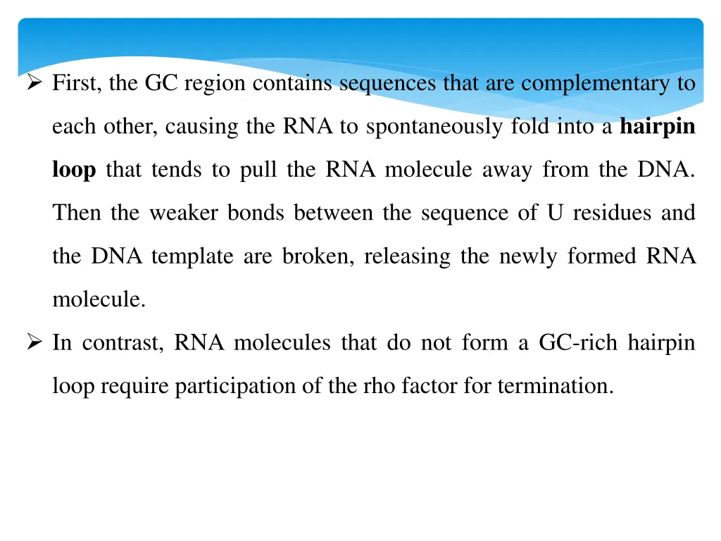 first the gc region contains sequences that