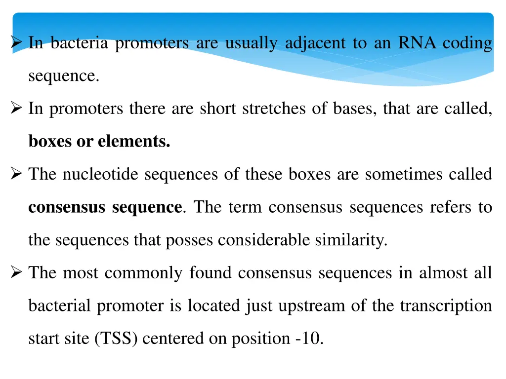 in bacteria promoters are usually adjacent