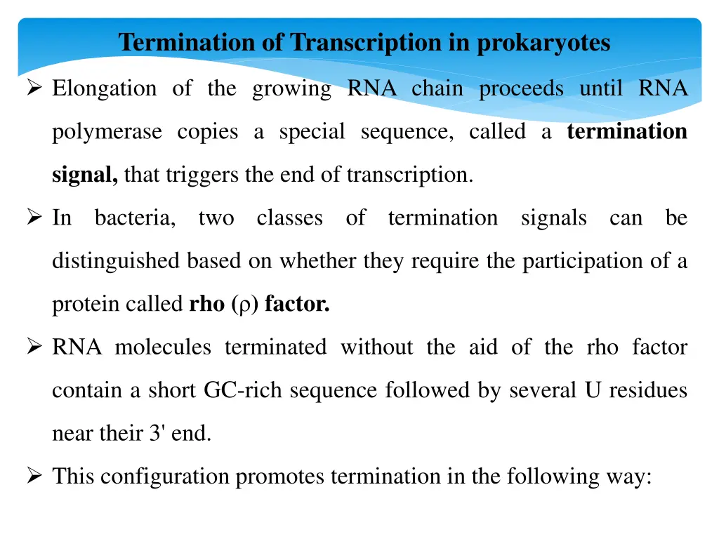 termination of transcription in prokaryotes