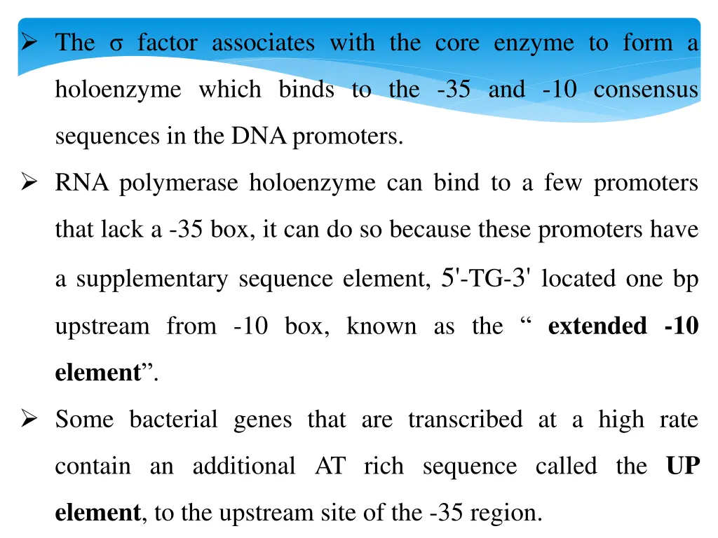 the factor associates with the core enzyme