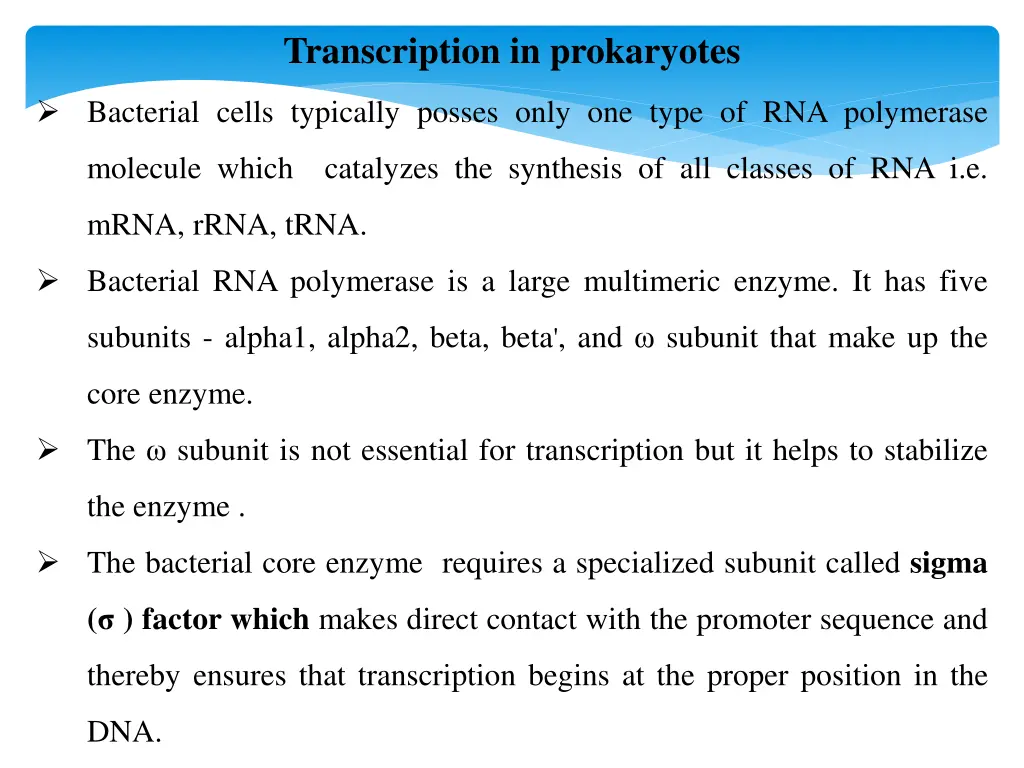 transcription in prokaryotes 1