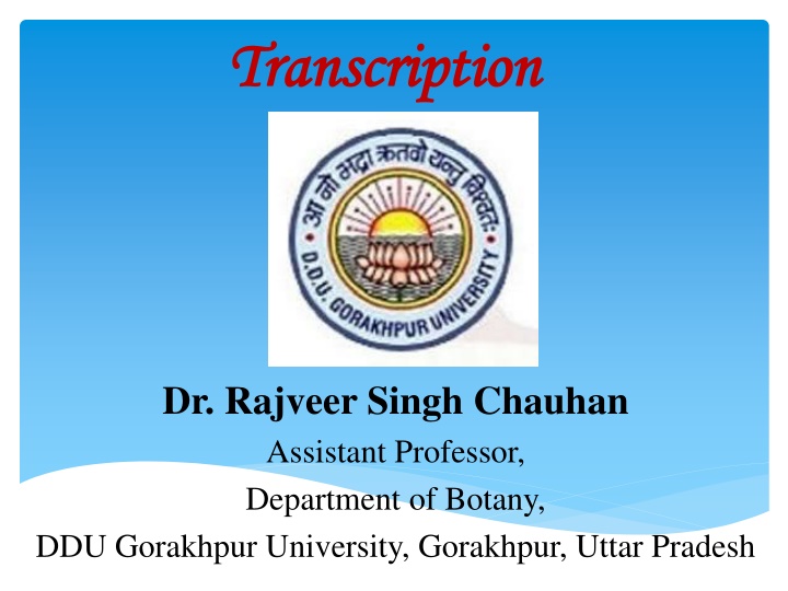 transcription transcription
