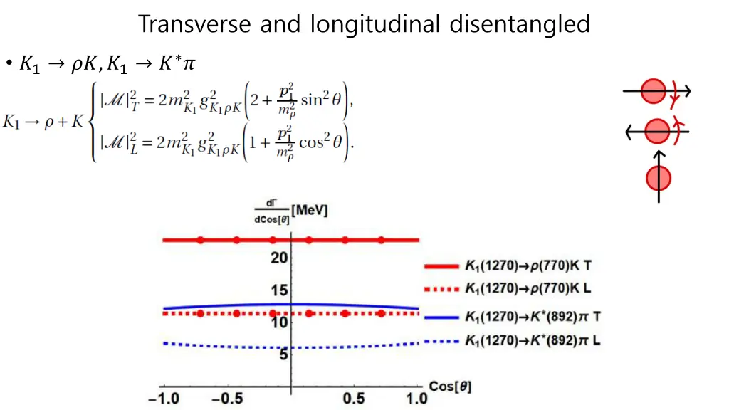 transverse and longitudinal disentangled 1