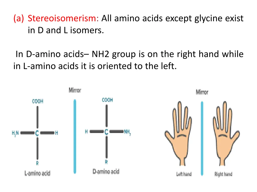 a stereoisomerism all amino acids except glycine