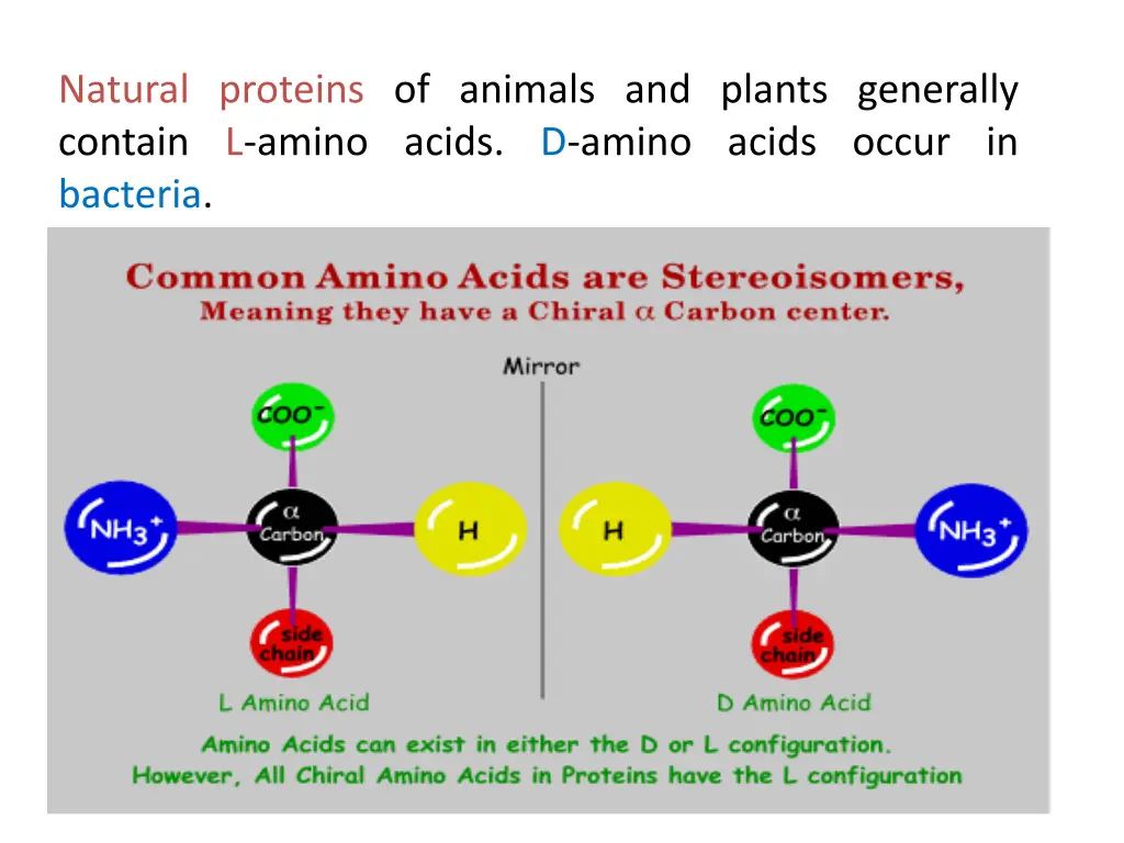 natural proteins of animals and plants generally