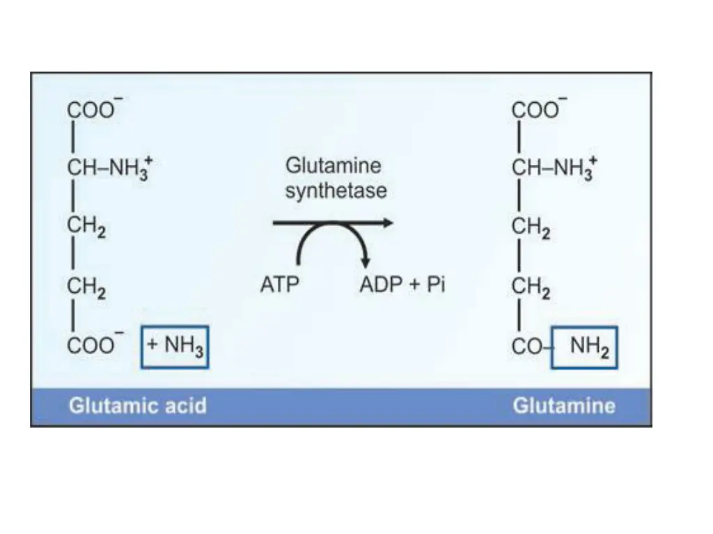 slide17