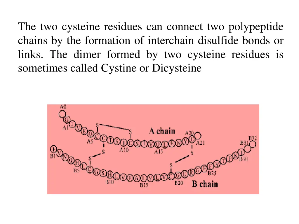 the two cysteine residues can connect