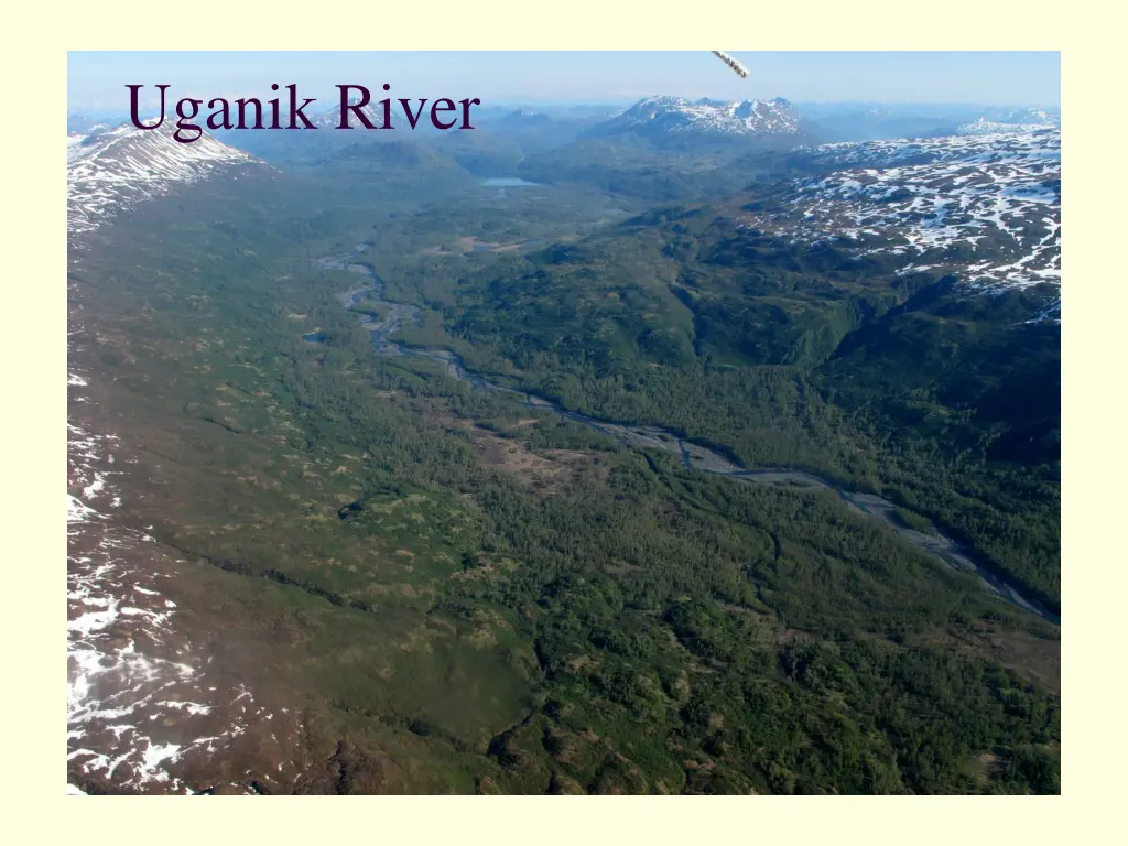 uganik river