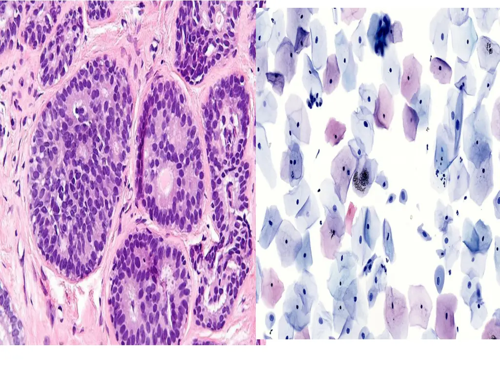 slide7