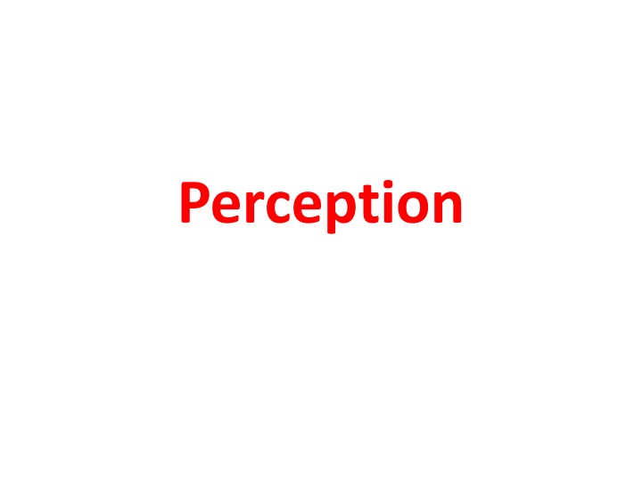 perception
